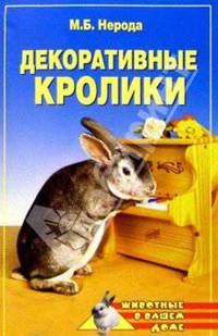 Декоративные кролики