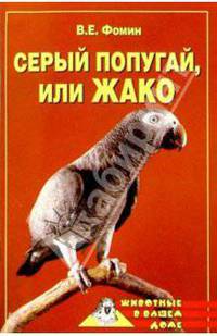 Серый попугай, или жако