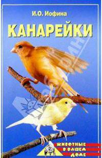 Канарейки