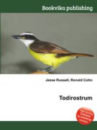 Todirostrum