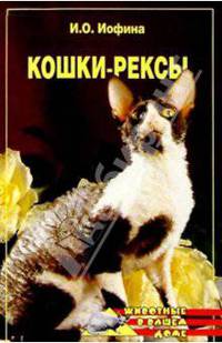 Кошки – рексы