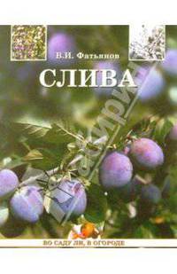 Слива
