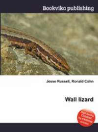Wall lizard