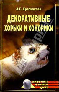 Декоративные хорьки и хонорики