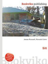 Silt