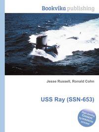 USS Ray (SSN-653)