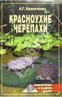 Красноухие черепахи - (ЗООКЛУБ)