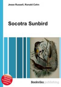 Socotra Sunbird