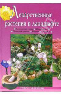 Лекарственные растения в ландшафте
