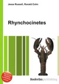 Rhynchocinetes
