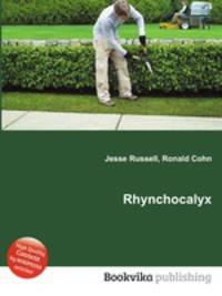 Rhynchocalyx