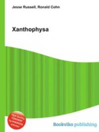 Xanthophysa