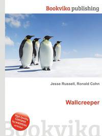 Wallcreeper