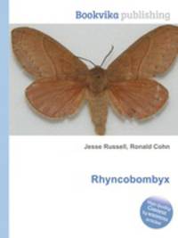 Rhyncobombyx