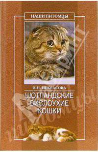 Шотландские вислоухие кошки - (Наши питомцы)