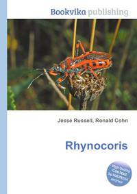 Rhynocoris