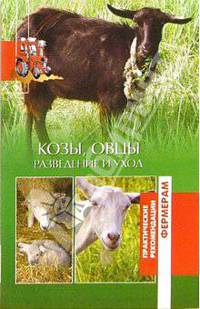 Козы и овцы. Разведение и уход - (Практические рекомендации фермерам)