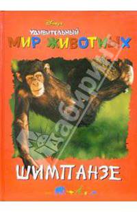 Удивительный мир животных: Шимпанзе