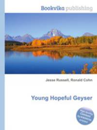 Young Hopeful Geyser