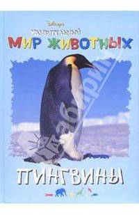 Удивительный мир животных: Пингвины