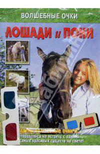 Лошади и пони