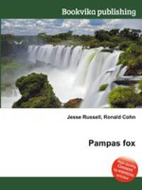 Pampas fox