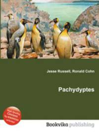 Pachydyptes