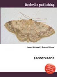 Xenochlaena