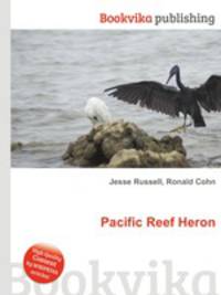 Pacific Reef Heron