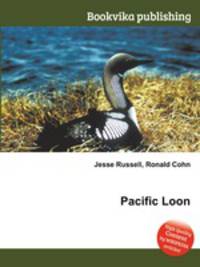 Pacific Loon