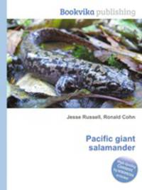 Pacific giant salamander