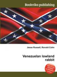 Venezuelan lowland rabbit