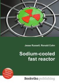 Sodium-cooled fast reactor