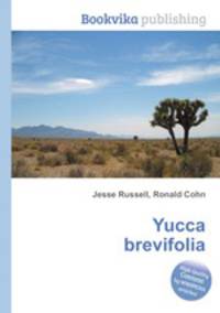 Yucca brevifolia