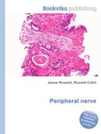 Peripheral nerve