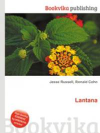 Lantana