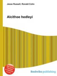 Alcithoe hedleyi