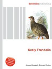 Scaly Francolin