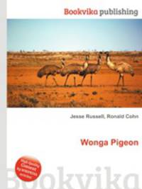 Wonga Pigeon