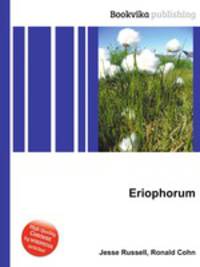 Eriophorum