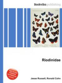 Riodinidae