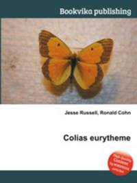 Colias eurytheme