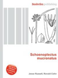 Schoenoplectus mucronatus