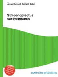 Schoenoplectus saximontanus