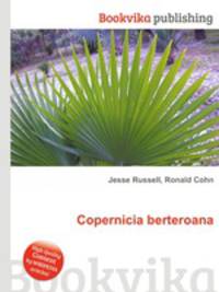 Copernicia berteroana