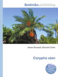 Corypha utan