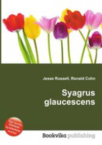Syagrus glaucescens