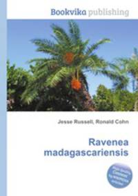 Ravenea madagascariensis