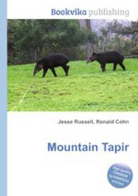 Mountain Tapir