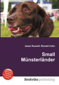 Small Mnsterlnder